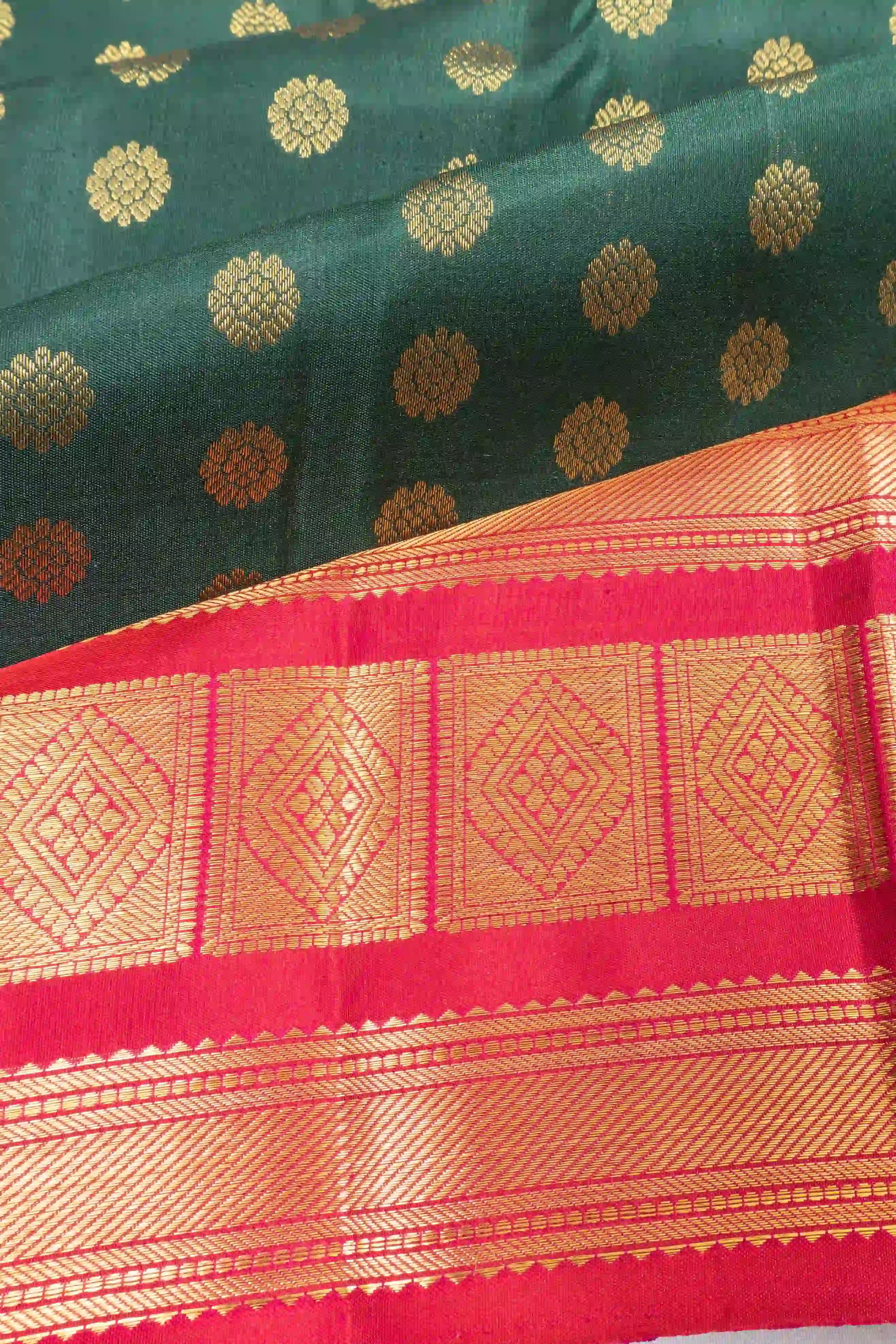 Banarasi Georgette — Cutwork Border